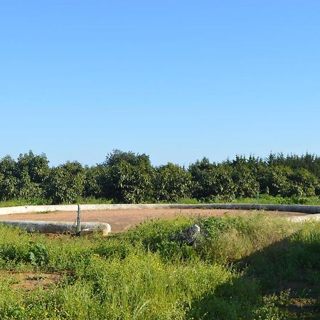 Quinta Das Figueiras Vila Nova de Cacela Exteriör bild
