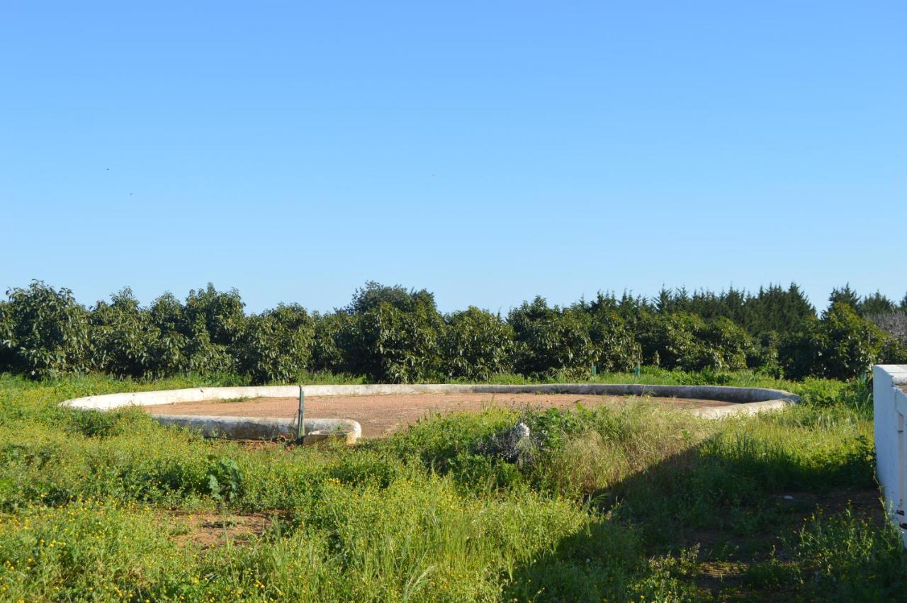 Quinta Das Figueiras Vila Nova de Cacela Exteriör bild